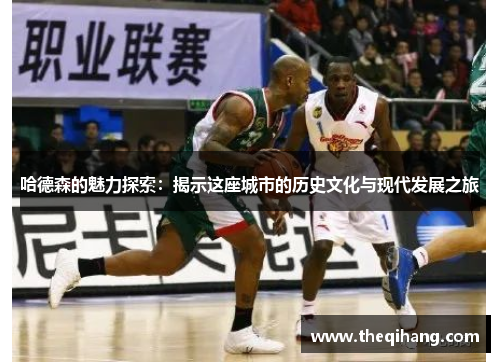 哈德森的魅力探索：揭示这座城市的历史文化与现代发展之旅