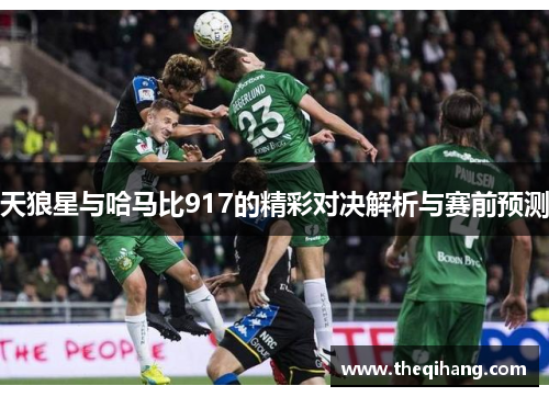 天狼星与哈马比917的精彩对决解析与赛前预测