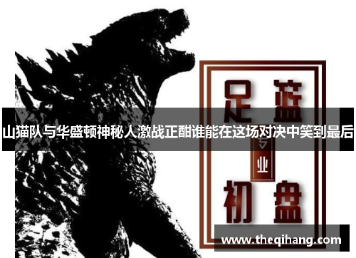 山猫队与华盛顿神秘人激战正酣谁能在这场对决中笑到最后